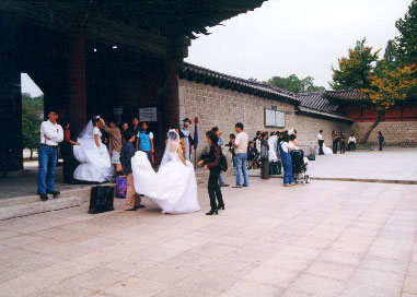 Many Brides