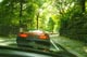 Through Central Park
