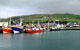 Dingle Harbor