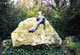 Statue in a Dublin park